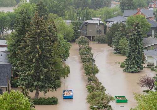 Understanding Floods: Causes, Effects, and Recovery